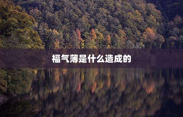 福气薄是什么造成的