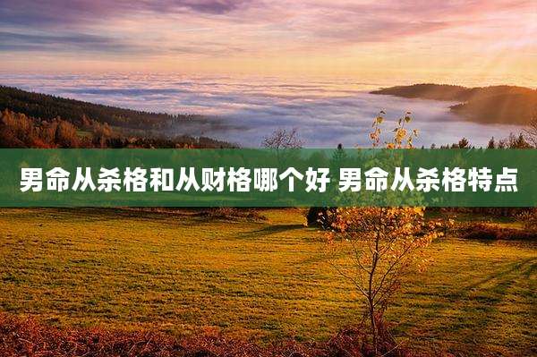 男命从杀格和从财格哪个好 男命从杀格特点
