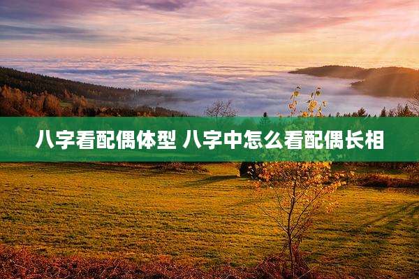 八字看配偶体型 八字中怎么看配偶长相