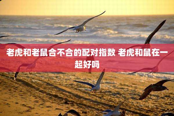 老虎和老鼠合不合的配对指数 老虎和鼠在一起好吗
