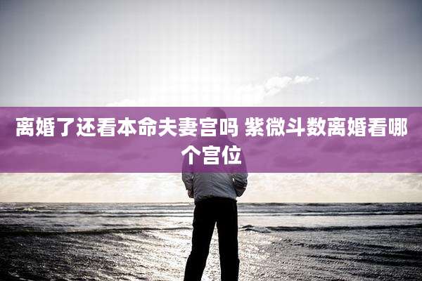 离婚了还看本命夫妻宫吗 紫微斗数离婚看哪个宫位
