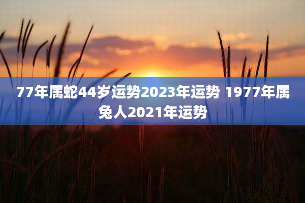 77年属蛇44岁运势2023年运势 1977年属兔人2021年运势