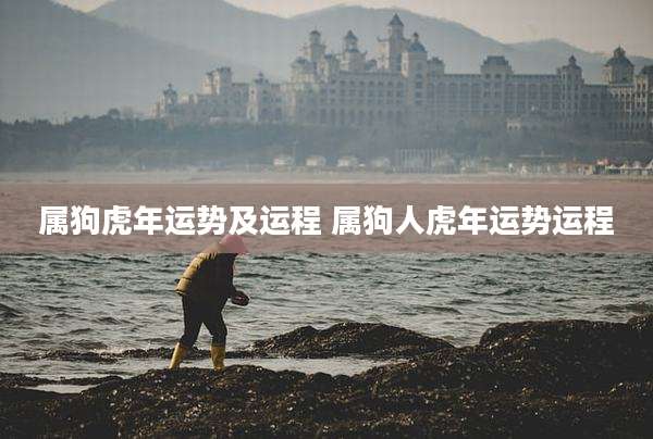 属狗虎年运势及运程 属狗人虎年运势运程