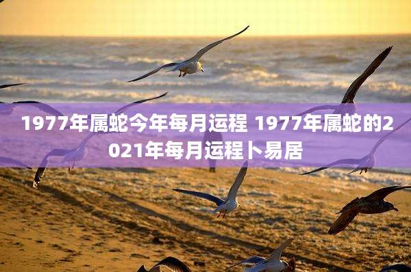 1977年属蛇今年每月运程 1977年属蛇的2021年每月运程卜易居