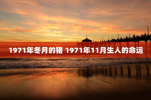 1971年冬月的猪 1971年11月生人的命运