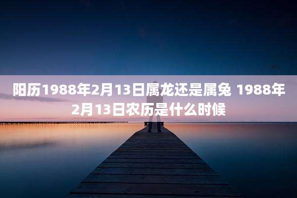 阳历1988年2月13日属龙还是属兔 1988年2月13日农历是什么时候