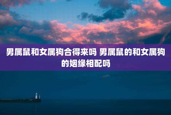 男属鼠和女属狗合得来吗 男属鼠的和女属狗的姻缘相配吗