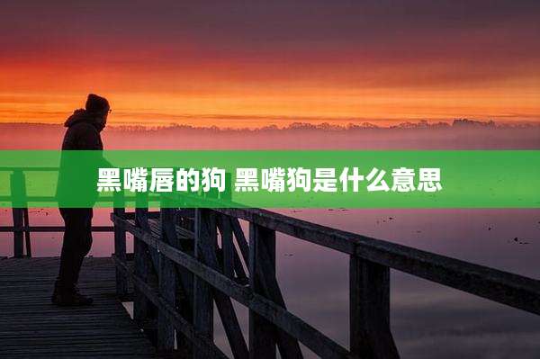 黑嘴唇的狗 黑嘴狗是什么意思