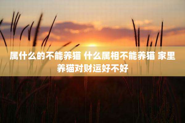 属什么的不能养猫 什么属相不能养猫 家里养猫对财运好不好