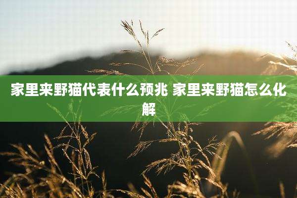 家里来野猫代表什么预兆 家里来野猫怎么化解
