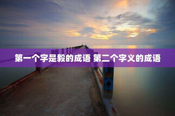 第一个字是毅的成语 第二个字义的成语