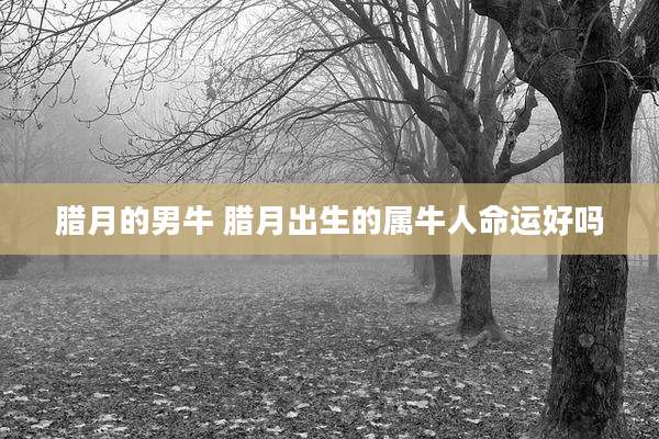 腊月的男牛 腊月出生的属牛人命运好吗