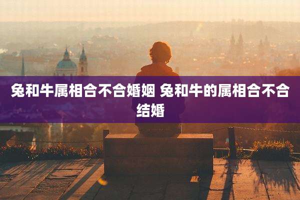 兔和牛属相合不合婚姻 兔和牛的属相合不合结婚