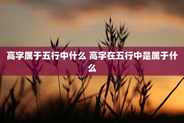 高字属于五行中什么 高字在五行中是属于什么