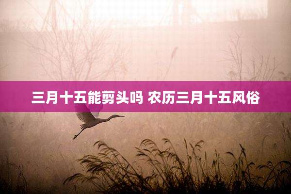 三月十五能剪头吗 农历三月十五风俗