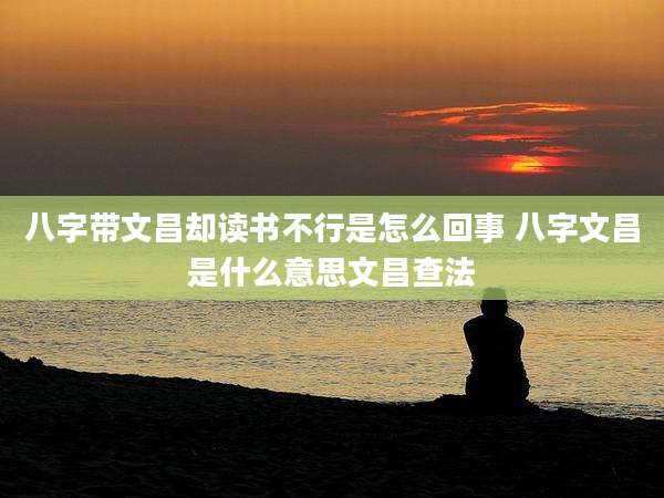 八字带文昌却读书不行是怎么回事 八字文昌是什么意思文昌查法