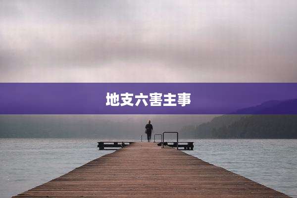 地支六害主事