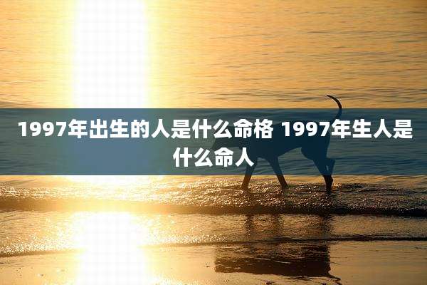 1997年出生的人是什么命格 1997年生人是什么命人
