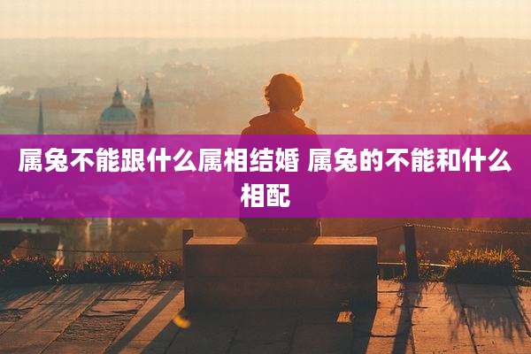 属兔不能跟什么属相结婚 属兔的不能和什么相配