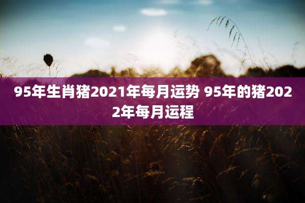 95年生肖猪2021年每月运势 95年的猪2022年每月运程