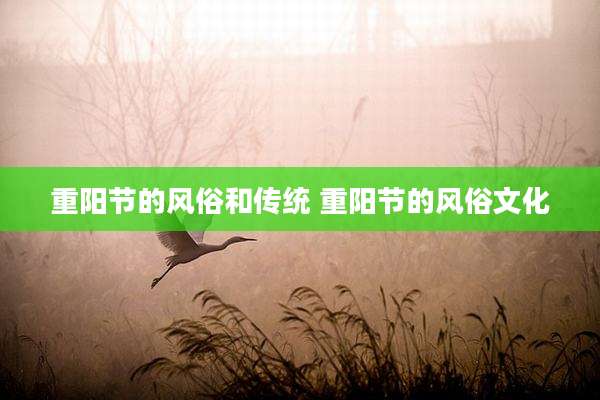 重阳节的风俗和传统 重阳节的风俗文化