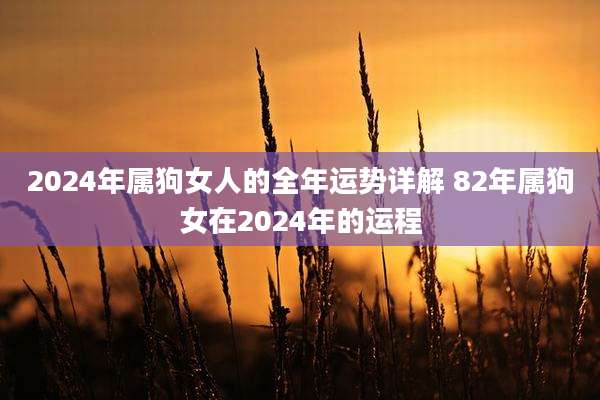 2024年属狗女人的全年运势详解 82年属狗女在2024年的运程