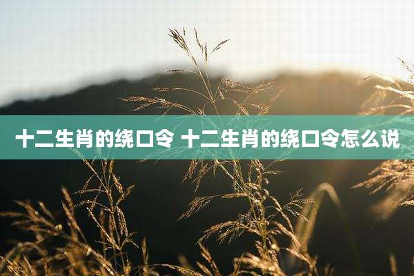 十二生肖的绕口令 十二生肖的绕口令怎么说