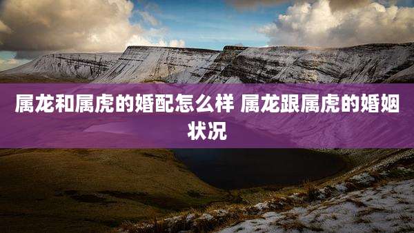 属龙和属虎的婚配怎么样 属龙跟属虎的婚姻状况