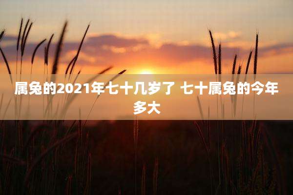 属兔的2021年七十几岁了 七十属兔的今年多大