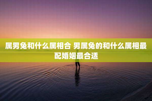 属男兔和什么属相合 男属兔的和什么属相最配婚姻最合适