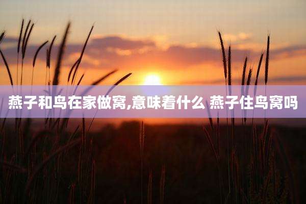 燕子和鸟在家做窝,意味着什么 燕子住鸟窝吗