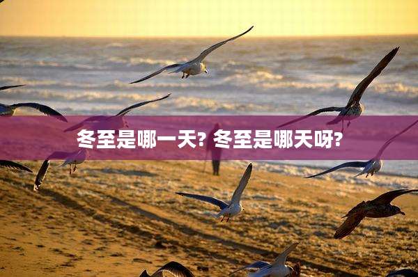 冬至是哪一天? 冬至是哪天呀?