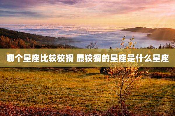 哪个星座比较狡猾 最狡猾的星座是什么星座