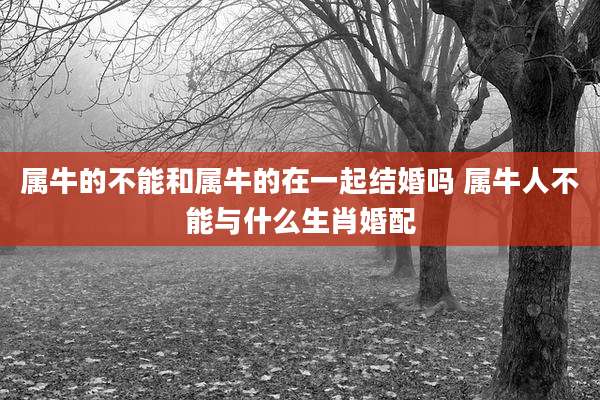 属牛的不能和属牛的在一起结婚吗 属牛人不能与什么生肖婚配