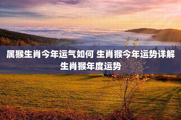 属猴生肖今年运气如何 生肖猴今年运势详解生肖猴年度运势