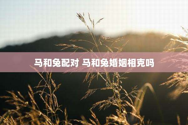 马和兔配对 马和兔婚姻相克吗