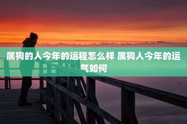 属狗的人今年的运程怎么样 属狗人今年的运气如何