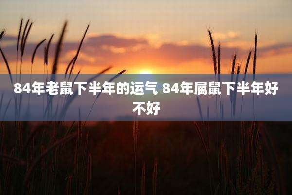 84年老鼠下半年的运气 84年属鼠下半年好不好