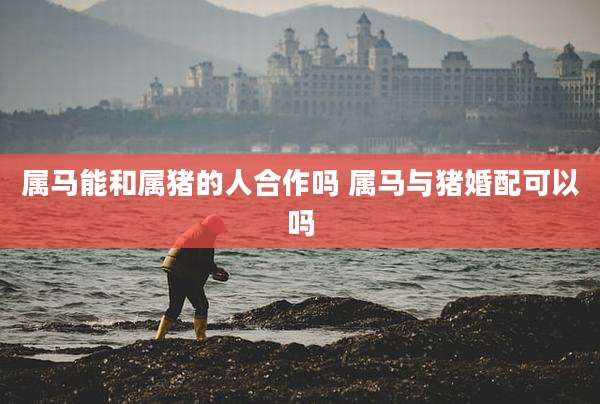 属马能和属猪的人合作吗 属马与猪婚配可以吗