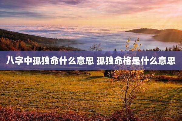 八字中孤独命什么意思 孤独命格是什么意思