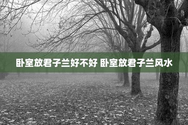 卧室放君子兰好不好 卧室放君子兰风水