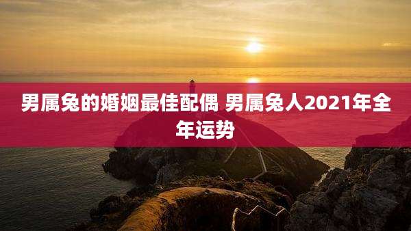 男属兔的婚姻最佳配偶 男属兔人2021年全年运势