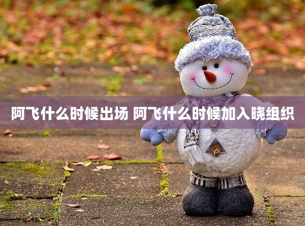 阿飞什么时候出场 阿飞什么时候加入晓组织