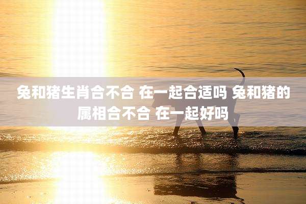 兔和猪生肖合不合 在一起合适吗 兔和猪的属相合不合 在一起好吗