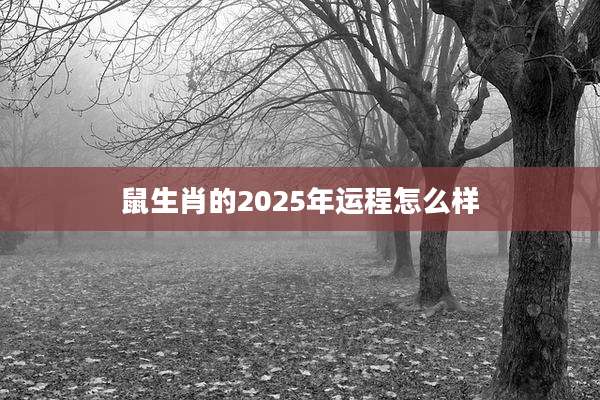 鼠生肖的2025年运程怎么样