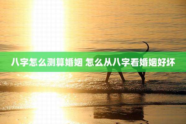 八字怎么测算婚姻 怎么从八字看婚姻好坏