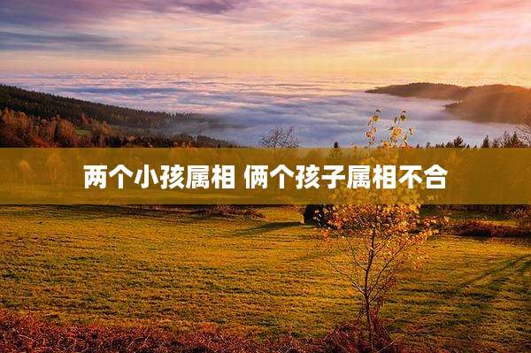 两个小孩属相 俩个孩子属相不合