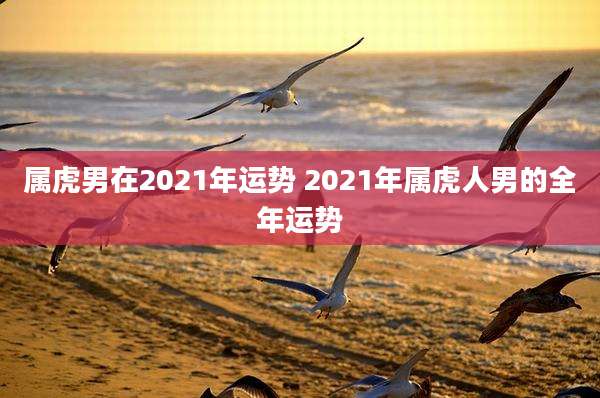 属虎男在2021年运势 2021年属虎人男的全年运势