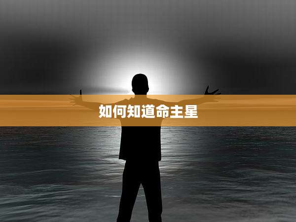 如何知道命主星