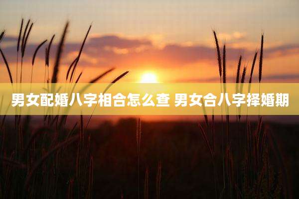 男女配婚八字相合怎么查 男女合八字择婚期